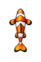 Clownfish